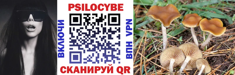 цена   blacksprut ССЫЛКА  Галлюциногенные грибы MAGIC MUSHROOMS  Любим 